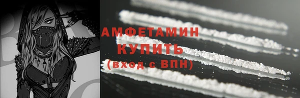 гашик Алзамай
