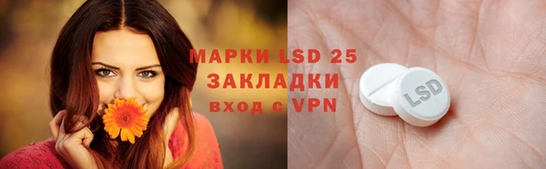 гашик Алзамай