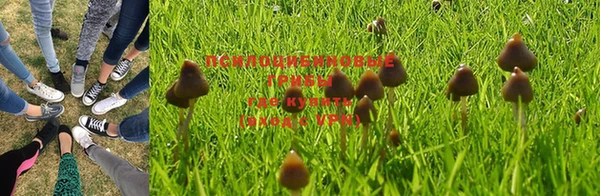 шишки Алексеевка