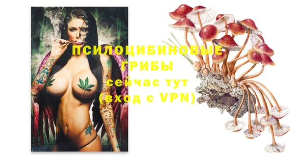 шишки Алексеевка